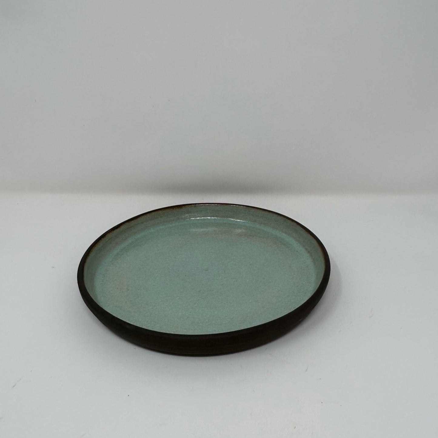 Dinner Plate